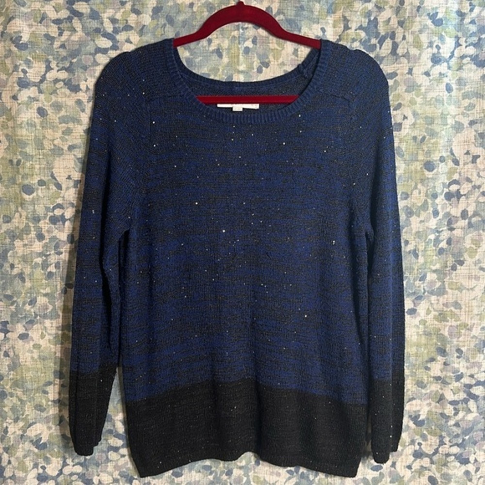 LOFT Sweater LP